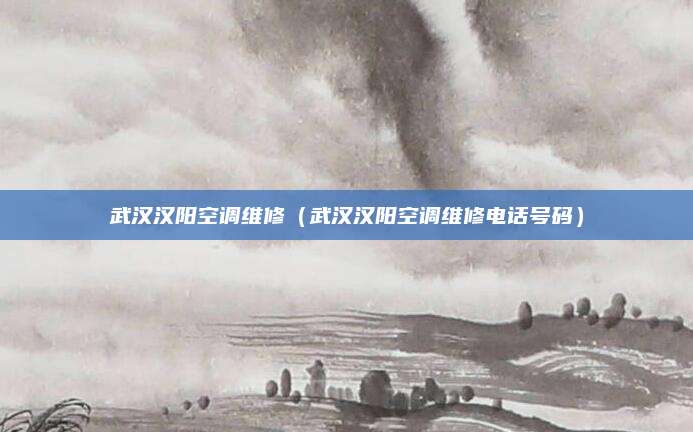 武汉汉阳空调维修（武汉汉阳空调维修电话号码）