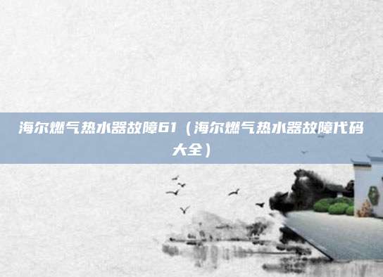 海尔燃气热水器故障61（海尔燃气热水器故障代码大全）