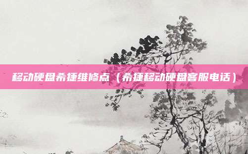移动硬盘希捷维修点(希捷移动硬盘客服电话)