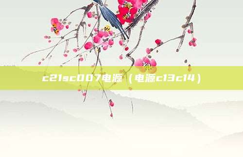 c21sc007电源(电源c13c14)