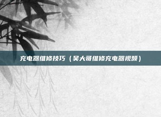 充电器维修技巧(吴大哥维修充电器视频)