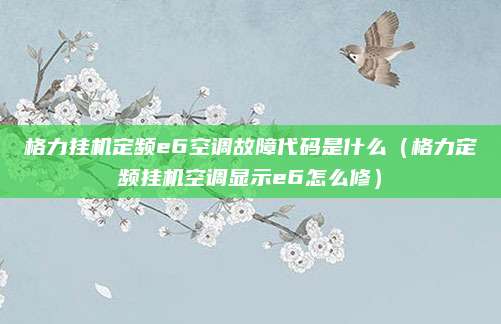 格力挂机定频e6空调故障代码是什么(格力定频挂机空调显示e6怎么修)
