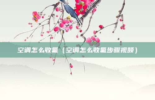 空调怎么收氟（空调怎么收氟步骤视频）