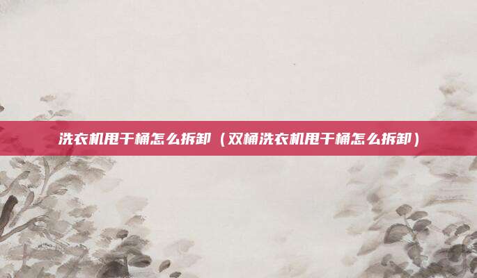 洗衣机甩干桶怎么拆卸（双桶洗衣机甩干桶怎么拆卸）