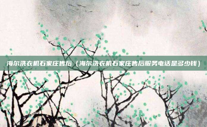海尔洗衣机石家庄售后(海尔洗衣机石家庄售后服务电话是多少钱)