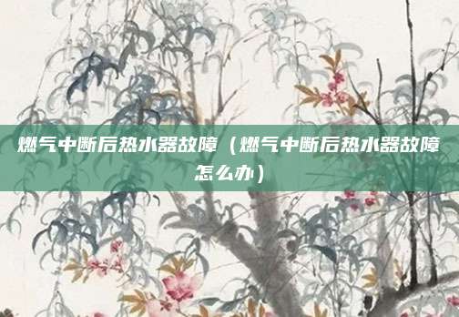 燃气中断后热水器故障（燃气中断后热水器故障怎么办）