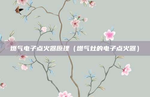 燃气电子点火器原理（燃气灶的电子点火器）