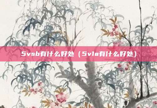 5vsb有什么好处（5v1a有什么好处）