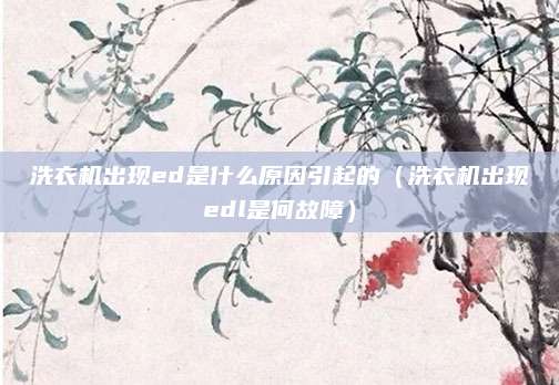 洗衣机出现ed是什么原因引起的（洗衣机出现edl是何故障）