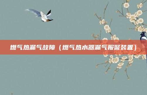 燃气热漏气故障（燃气热水器漏气报警装置）