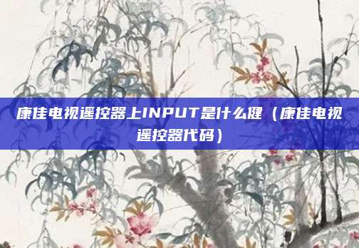 康佳电视遥控器上INPUT是什么健(康佳电视遥控器代码)