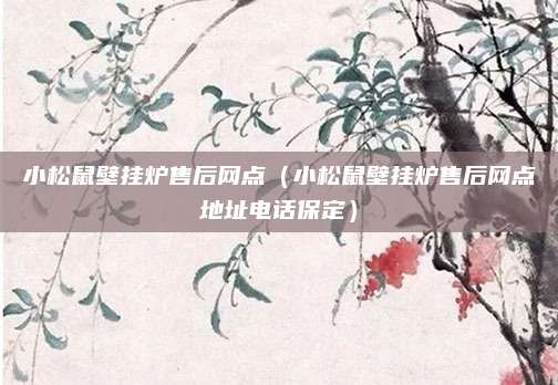 小松鼠壁挂炉售后网点（小松鼠壁挂炉售后网点地址电话保定）