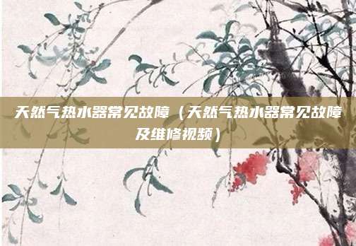 天然气热水器常见故障（天然气热水器常见故障及维修视频）