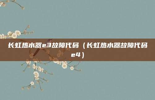 长虹热水器e3故障代码（长虹热水器故障代码e4）