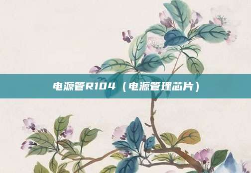 电源管R104（电源管理芯片）