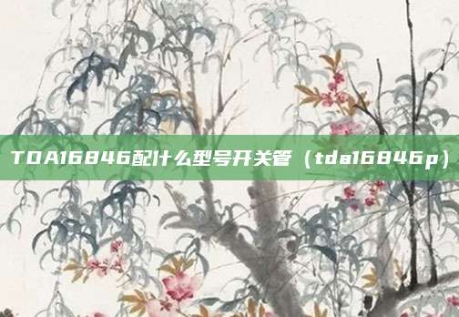 TDA16846配什么型号开关管（tda16846p）