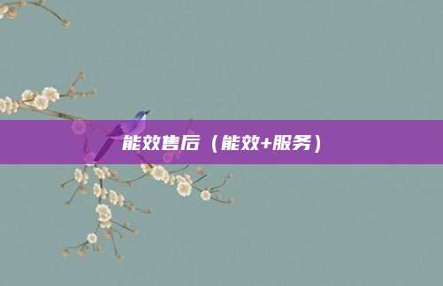能效售后（能效+服务）