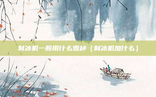制冰机一般用什么雪种（制冰机加什么）