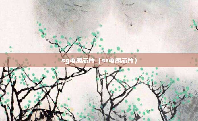 sg电源芯片（st电源芯片）