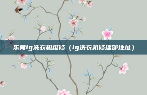 东莞lg洗衣机维修（lg洗衣机修理部地址）