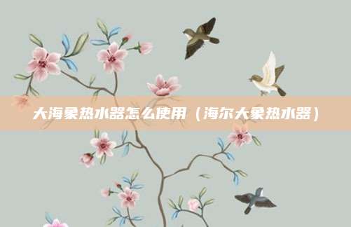 大海象热水器怎么使用（海尔大象热水器）