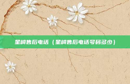 星崎售后电话（星崎售后电话号码多少）