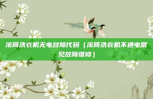 滚筒洗衣机无电故障代码（滚筒洗衣机不通电常见故障维修）