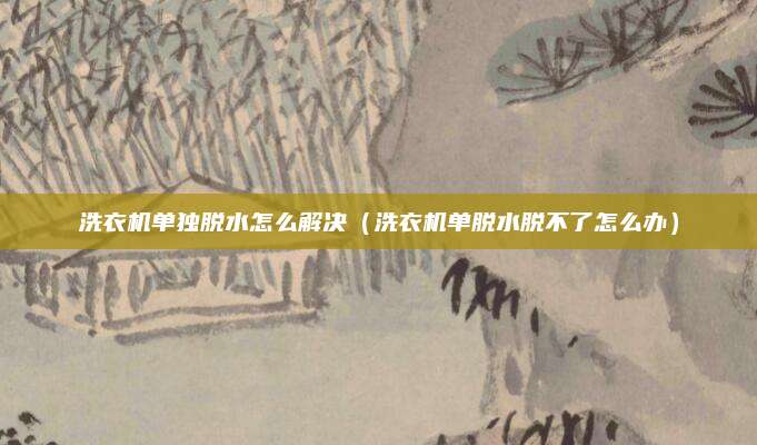 洗衣机单独脱水怎么解决（洗衣机单脱水脱不了怎么办）