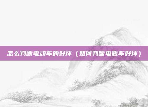 怎么判断电动车的好坏（如何判断电瓶车好坏）