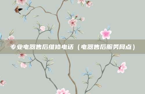 专业电器售后维修电话（电器售后服务网点）