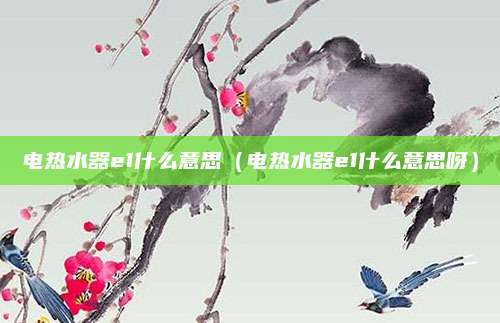 电热水器e1什么意思（电热水器e1什么意思呀）