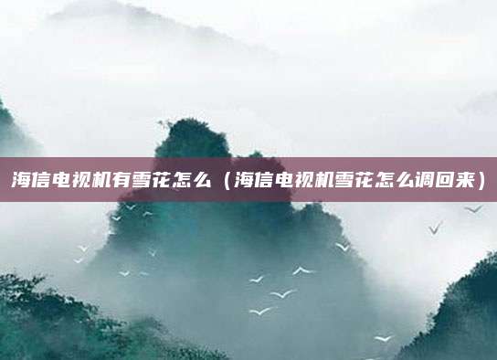海信电视机有雪花怎么(海信电视机雪花怎么调回来)