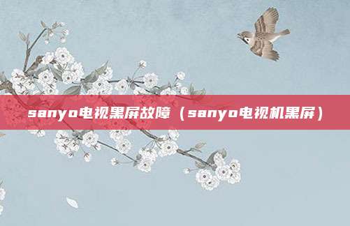sanyo电视黑屏故障（sanyo电视机黑屏）