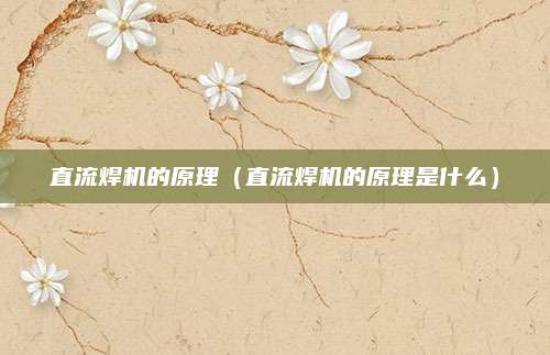 直流焊机的原理(直流焊机的原理是什么)