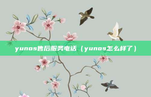 yunos售后服务电话（yunos怎么样了）