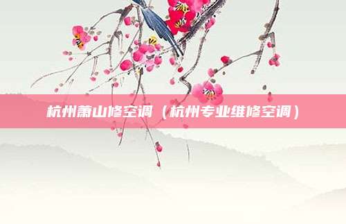 杭州萧山修空调（杭州专业维修空调）