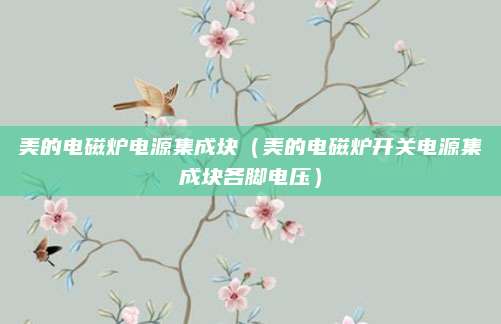 美的电磁炉电源集成块（美的电磁炉开关电源集成块各脚电压）