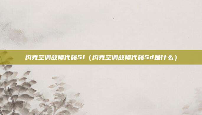 约克空调故障代码51（约克空调故障代码5d是什么）