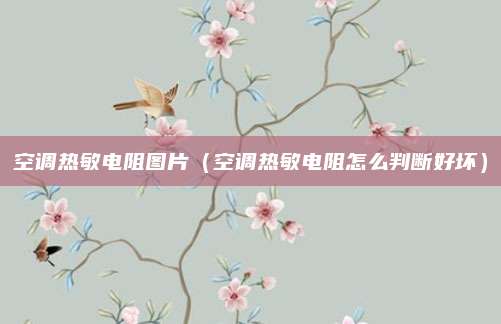 空调热敏电阻图片（空调热敏电阻怎么判断好坏）