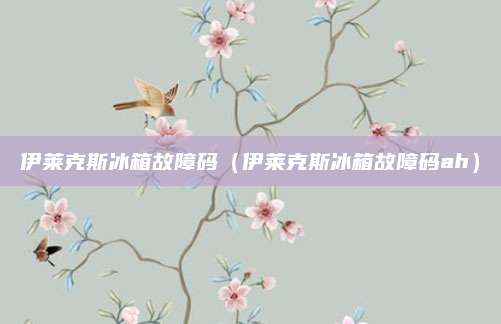 伊莱克斯冰箱故障码（伊莱克斯冰箱故障码ah）