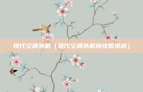 现代空调外机(现代空调外机接线图视频)