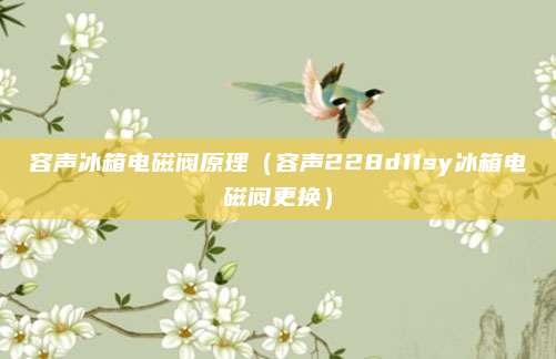 容声冰箱电磁阀原理(容声228d11sy冰箱电磁阀更换)