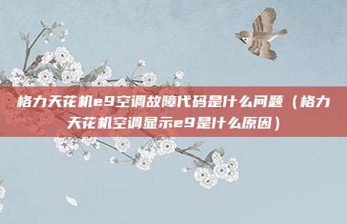 格力天花机e9空调故障代码是什么问题(格力天花机空调显示e9是什么原因)