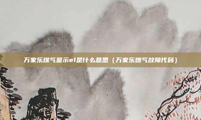 万家乐煤气显示e1是什么意思(万家乐燃气故障代码)