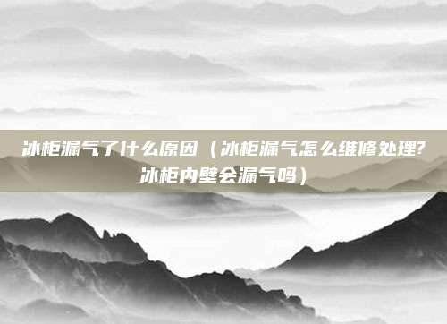 冰柜漏气了什么原因(冰柜漏气怎么维修处理?冰柜内壁会漏气吗)