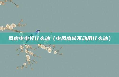 风扇电电打什么油（电风扇转不动用什么油）