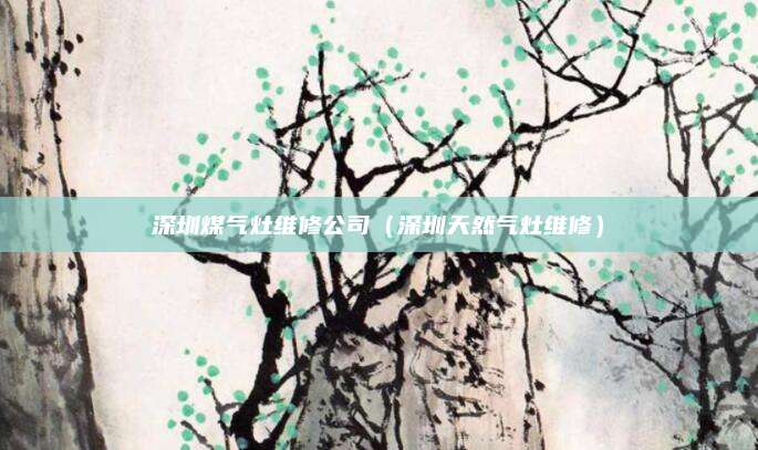 深圳煤气灶维修公司（深圳天然气灶维修）