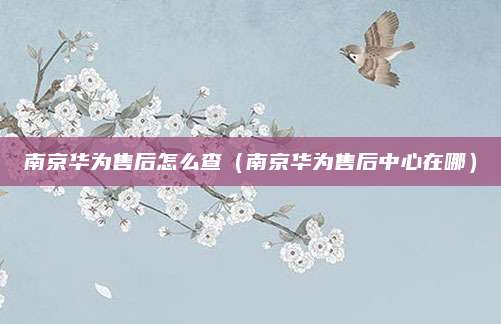 南京华为售后怎么查(南京华为售后中心在哪)