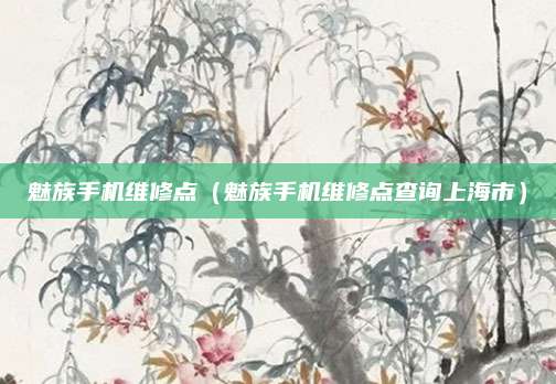 魅族手机维修点（魅族手机维修点查询上海市）