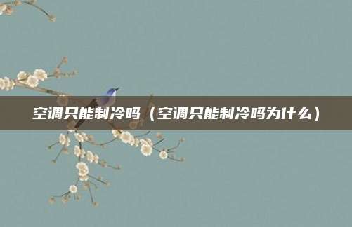 空调只能制冷吗(空调只能制冷吗为什么)